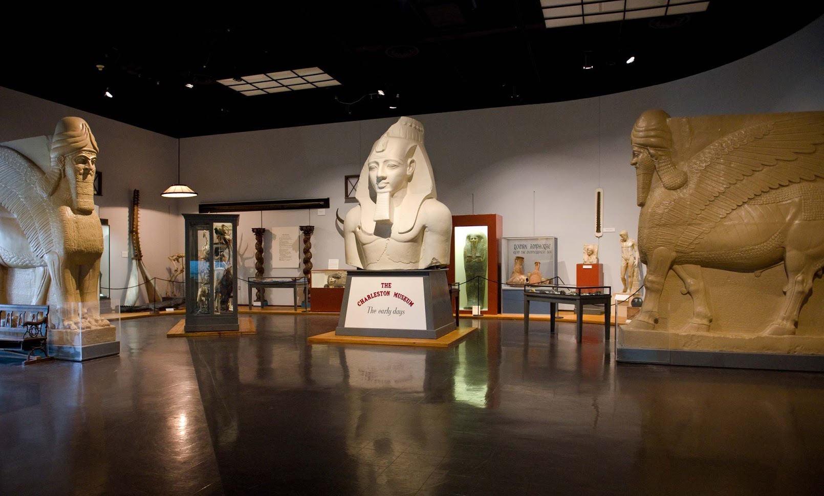 Founded in 1773 and commonly regarded as “America’s First Museum,” The Charleston Museum tells the story of this area from its prehistory to the 20th century. 