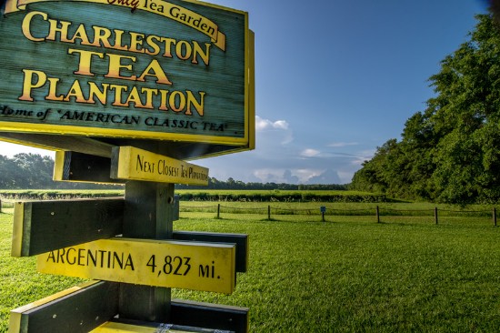 plantation visit charleston sc