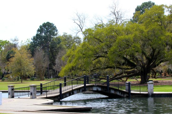 The Best Parks in Charleston SC (2024) | Visit-Historic-Charleston