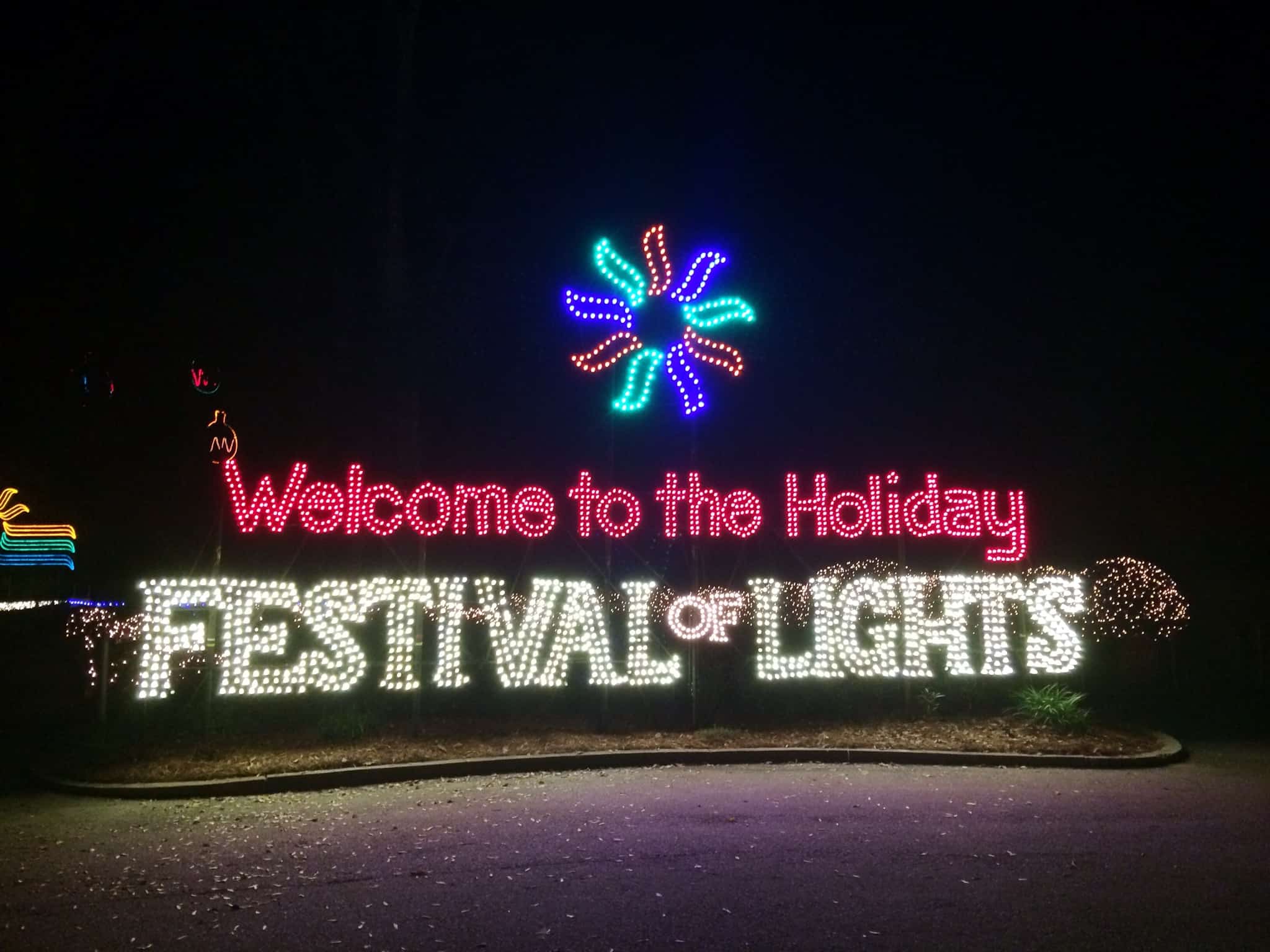 The  Charleston Holiday Festival of Lights at James Island County Park is known for its three-mile driving tour decorated with thousands of lights.
