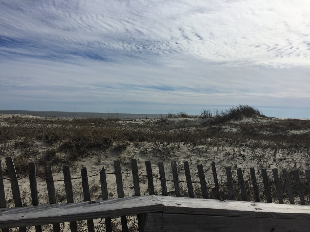 are dogs allowed on kiawah island beaches